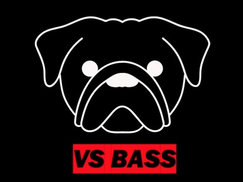 VS Bass February Mix (House, Tech House, Bass House)