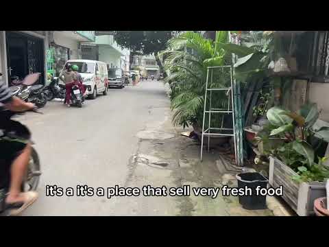 私の小さな隣人 (My small Neighbourhood)