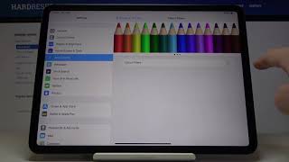 How to Enable Black&White Display in APPLE iPad Pro 11 (2020) - Monochromacy Screen