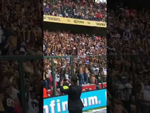 "La Rebel de Pumas siendo local en el estadio Nemesio Díez de Toluca. " Barra: La Rebel &bull; Club: Pumas