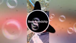 Download lagu tum jaise chutiyon Ka Sahara Hai Dosto dj shivam mp3 Download lagu tum jaise chutiyon Ka Sahara Hai Dosto dj shivam mp3