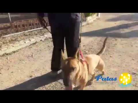 CARMEN PRESENTA A YOHANA