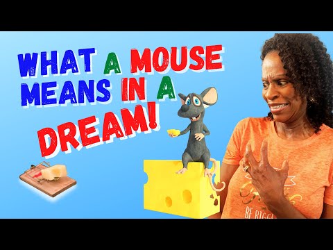 What a Mouse Means in a Dream/Dreaming About Mice or Rats/Biblical Dream Interpretation!