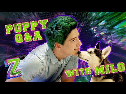download lagu mp3 mp4 Milo Manheim, download mp3 Milo Manheim free download, download mp3 Milo Manheim