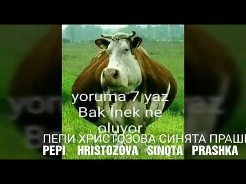 DJ Gyurhan s pesenta na Pepi Hristozova DJ Гюрхан с песента на Пепи Христозова Синята прашка