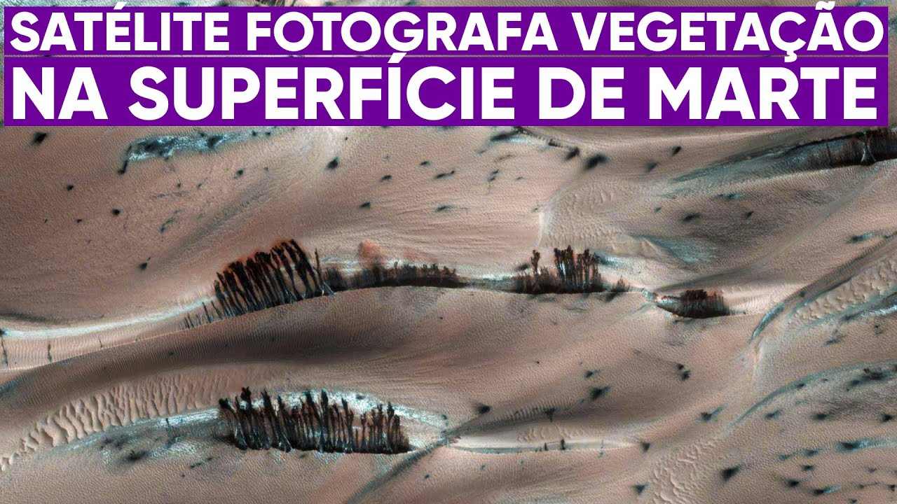 NASA divulga fotos de 'vegetação' em Marte