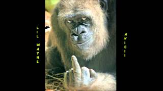 Avicii - Levels feat Lil Wayne (Rack mix) HD 1080p