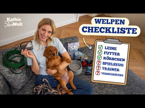 A puppy is moving in - you MUST have this at home!