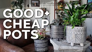Cheap Plant Pots: HomeGoods vs. T.J.Maxx vs. DollarTree!