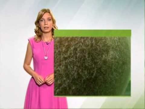 EsrZelenaprog220615s3m