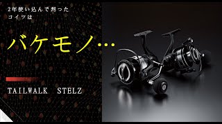 【Tailwalk Stealz】２年間使用後の正直な感想