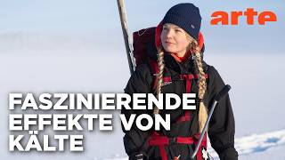 Heilende Kälte: Sollten wir öfter frieren? | Doku HD Reupload | ARTE