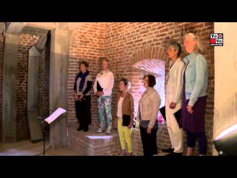 Torenfeesten in Sambeek