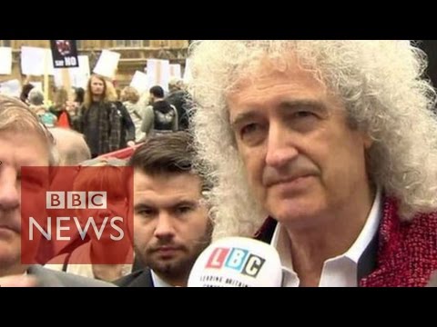 Fox hunt vote a 'victory', says Brian May - BBC News