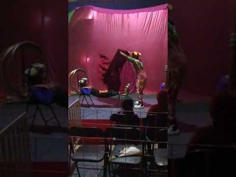 Los fantásticos, en Fantastico Circo tu círco amigo