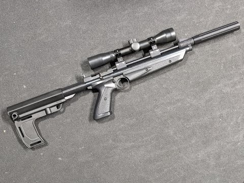 Crosman 1377 - I Should Have Listened...