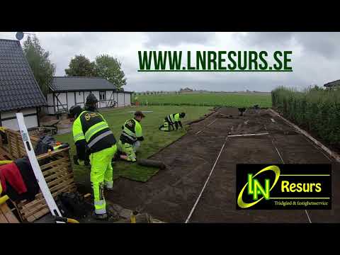 Anläggning av gräsmatta