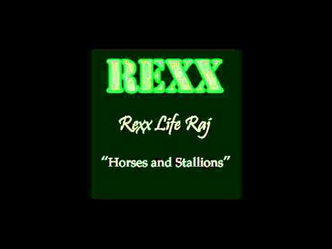 Rexx Life Raj- Horses and Stallions