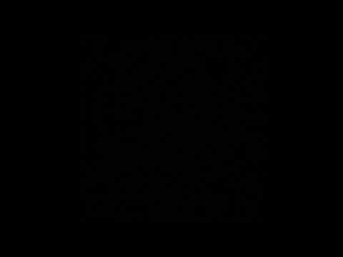 History Project Isabella, Sabrina, Carina, and Ethan