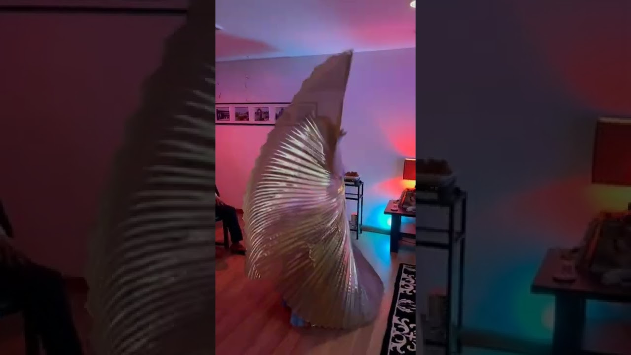 Promotional video thumbnail 3 for Elana Bellydance