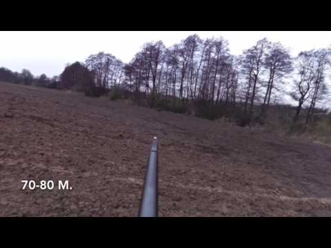 Driven hunt in Poland 2015