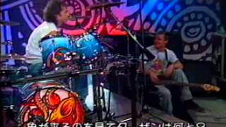 Red Hot Chili Peppers - Chad Smith &amp; Flea - Jam