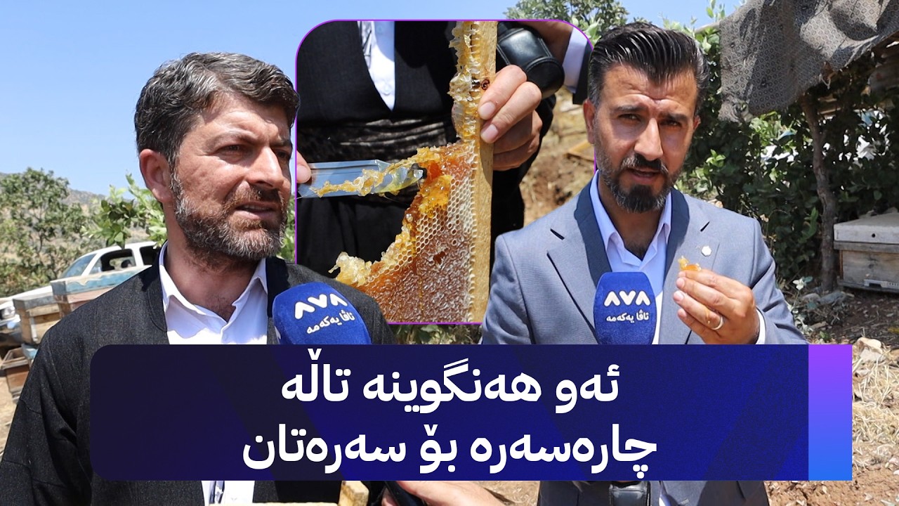 ڤیدیۆ | ئەو هەنگوینە تاڵە چارەسەرە بۆ سەرەتان