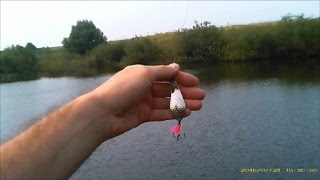 Ловля щуки летом на блесну.