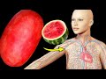 What Happens To Your Body When You Eat Watermelon Every Day