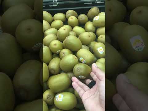 #kiwifruits#short