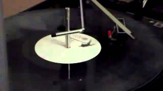 Against All Authority - Holiday in Cambodia (Vinyl Version Dead Kennedys Cover)