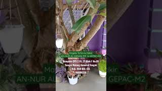 Download lagu MT.NH313 & GPC M2 AMUNTAI HSU KAL-SEL mp3