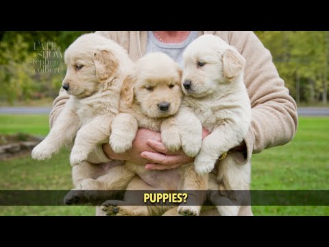 共和黨人不喜歡的絕大部分熱門事情。 (Overwhelmingly Popular Things That Republicans Don't Like)