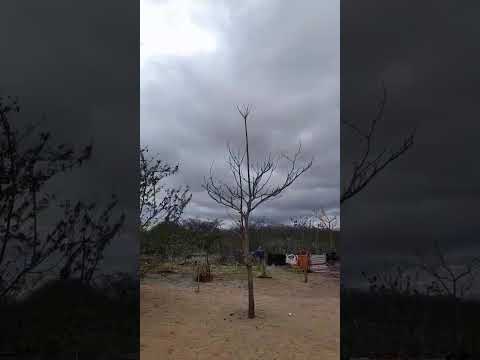 Nuvens de Chuva chegando a Olivedos PB