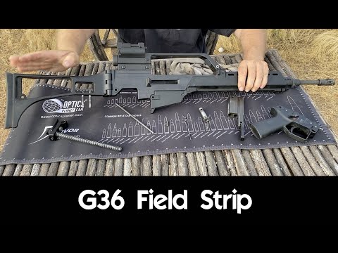 G36 - Field Strip