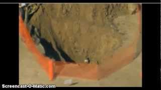 Zombies & Sinkholes! Bottomless Pit Open? (2013)