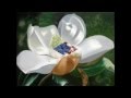 Yo Marmik Sandesh Unle Paye Hunthyo By Ramji Khand Tika Pun Super Hit Lok Song