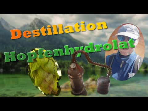 Hopfenhydrolat: Die Geheimnisse der Hopfenveredelung enthüllt! #Hopfenhydrolat #Aromatherapie