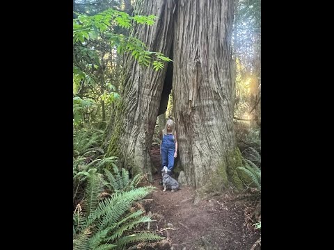 Deborah Holland - "Thankful (Thanksgiving 2023)" [Official Music Video]