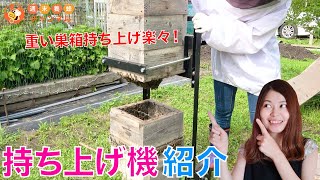 ニホンミツバチの継箱に大活躍！【持ち上げ機の紹介】