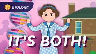 Nature? Nurture? Not so simple: Genetic Traits: Crash Course Biology #32