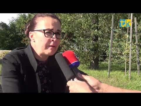 Kuźnia Raciborska upamiętni poległych saperów