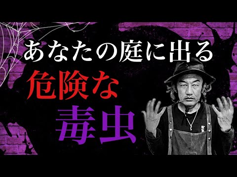 庭に放置された脚立は、遊びだと思っている子供たちにとって危険の源になる可能性があります