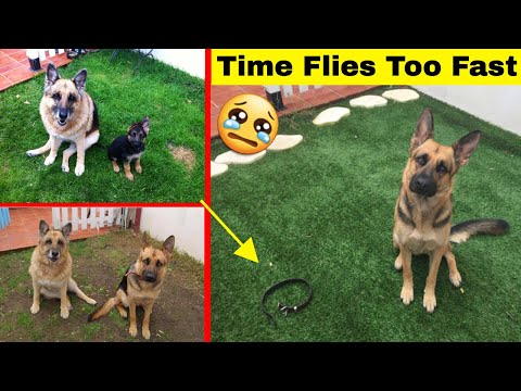 download lagu mp3 mp4 Time Goes Too Fast Quotes, download lagu Time Goes Too Fast Quotes gratis, unduh video klip Time Goes Too Fast Quotes