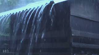 Best Rain Sounds for Sleeping | Real Heavy Rainstorm & Mighty Thunder on Tin Roof | White Noise