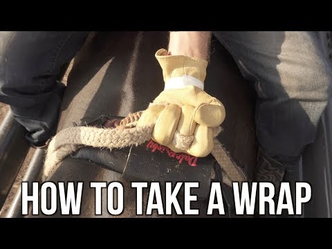 Top 10 Bull Riding Wraps