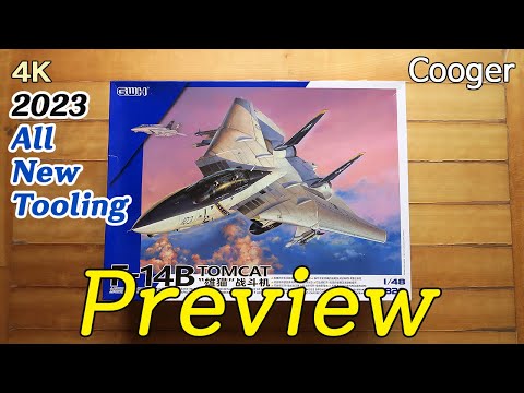 Grumman F-14A Tomcat - Naval Models