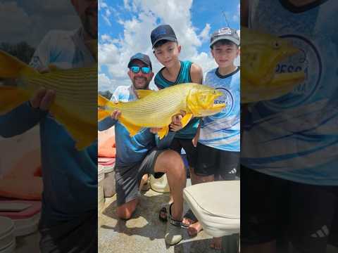 Pesca de gran dorado en Concordia, Entre Ríos