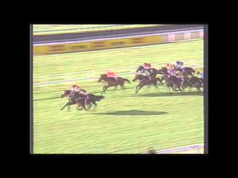 1992 BTC Doomben Cup
