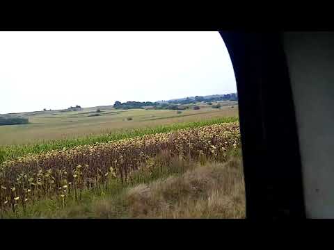 Vagon view prin Milișăuți cu Trenul R5625 Suceava-Putna 31.08.2022